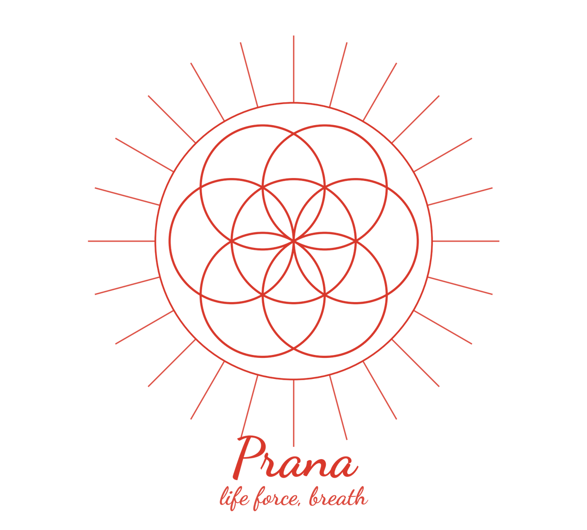 Prana Tee — Seed of Life