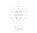 Prana Tee — Seed of Life